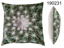 Poduszka kaktus