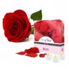 Лепестки роз для влюбленных + светодиодные свечи