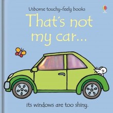 Usborne book - That's not my car