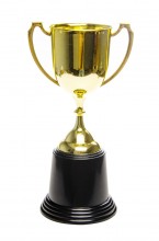 Cup - the winner's trophy