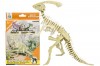 Собери скелет динозавра - 3D-пазл