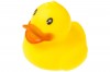 Bath duck