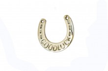 Exclusive pendant - horseshoe good luck - brass