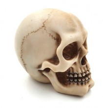 Skull figurine 7 cm - decoration