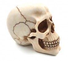 Skull figurine 15 cm - decoration