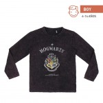 Футболка Harry Potter Hogwarts - 6-14 лет - лицензионный продукт