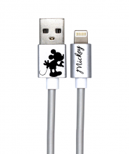 USB Lightning Disney iPhone Cable - Licensed ...