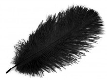 Soft erotic feather - black