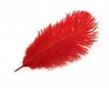 Soft erotic feather - red