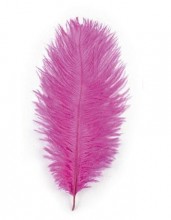 Soft erotic feather - pink