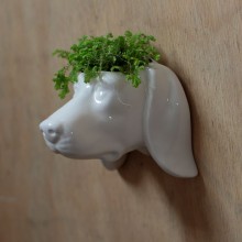 Ceramic dog head flowerbed