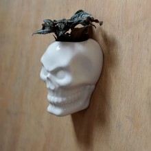 Ceramic skull flowerbed