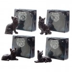 Czarny kot w mini torebce prezentowej