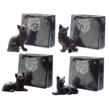 Black cat in a mini gift bag