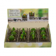 Kaktuszgyertyák üvegben - 12 darabos egész ...