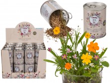 Flowers in a box - your own flower meadow
