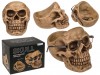 Skull-shaped organizer with glasses holder - brown