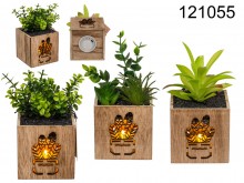 Decorative plant in a wooden LED pot