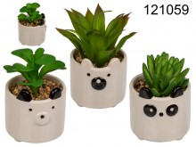 Decorative plant in a pot with a pet smiley face