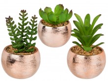 Decorative plant in a pottery pot