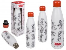 Asterix thermo-insulating bottle