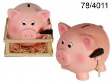 XXL Piggy Bank